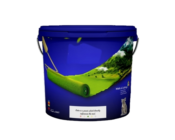 Silk Matt Paint 4 Liters